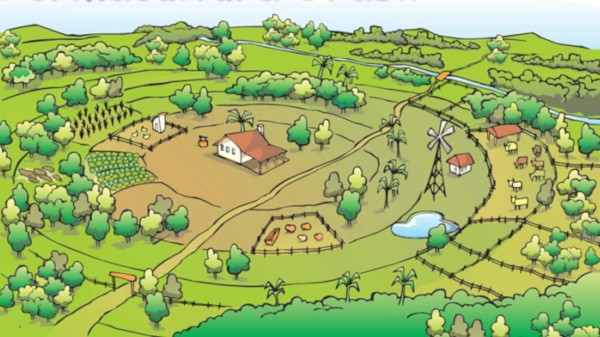 Dibujo de granja con sus zonas.