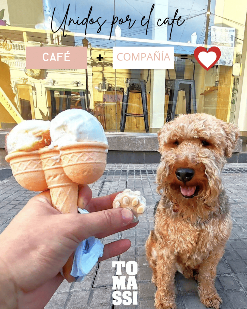 perro y helado