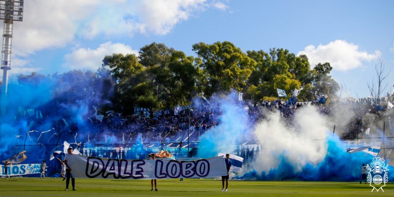 recibimiento de la hinchada de gimnasia