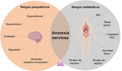 anorexia nerviosa